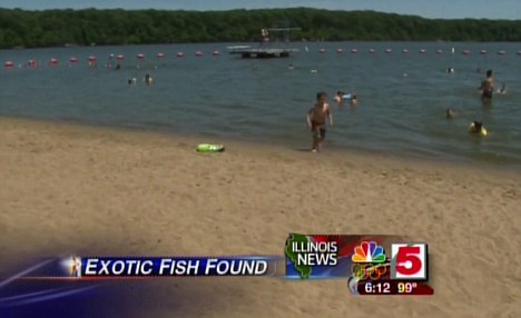 ������ʳ���㡱רҧ������ֳ��