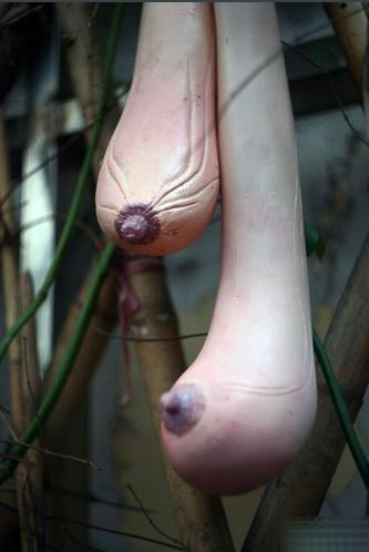 ��������Խ�����������𣿣���ͼ��