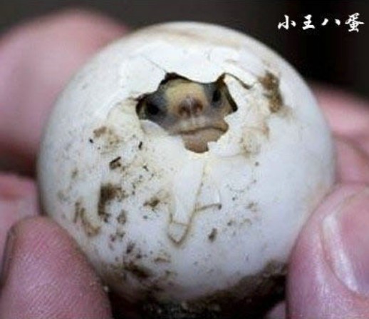 ����ոճ���ʱ������� ������𣿣�ͼ��