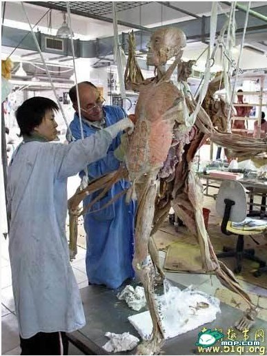 ʬ�岩��� ����ʬ��ӹ��ֳ� ��С���룡