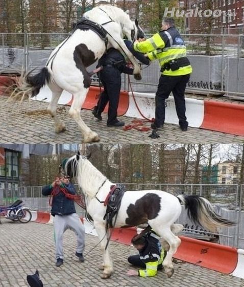 Ӳ�Ǳ���ͼ�׷��ˣ�