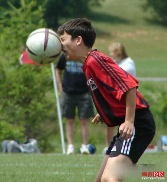 �̵㿴����Լ�е�ţ��ţͼ ��ЦͼƬ