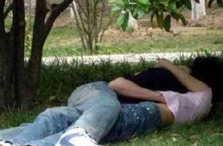 ��԰��ķ������ ͵�Ĺ�԰Ұս��ͼ��