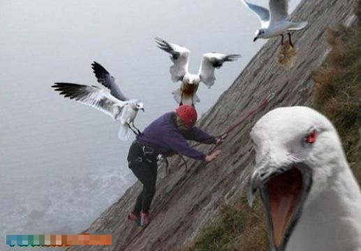 ץ�ľ��Ķ��ǵĶ��˲��(��ͼ)