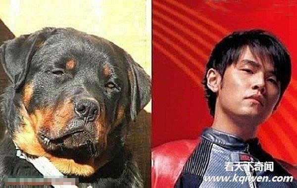 �̵������붯��Ҳ����ײ�� ����Ҳ߯����(��ͼ)