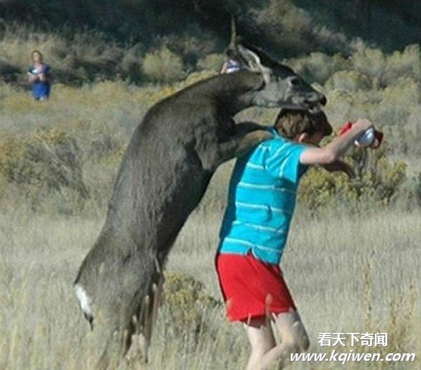 �����İ��ĳ��ͳ��� ǿ����������ͼ�̵�(��ͼ)